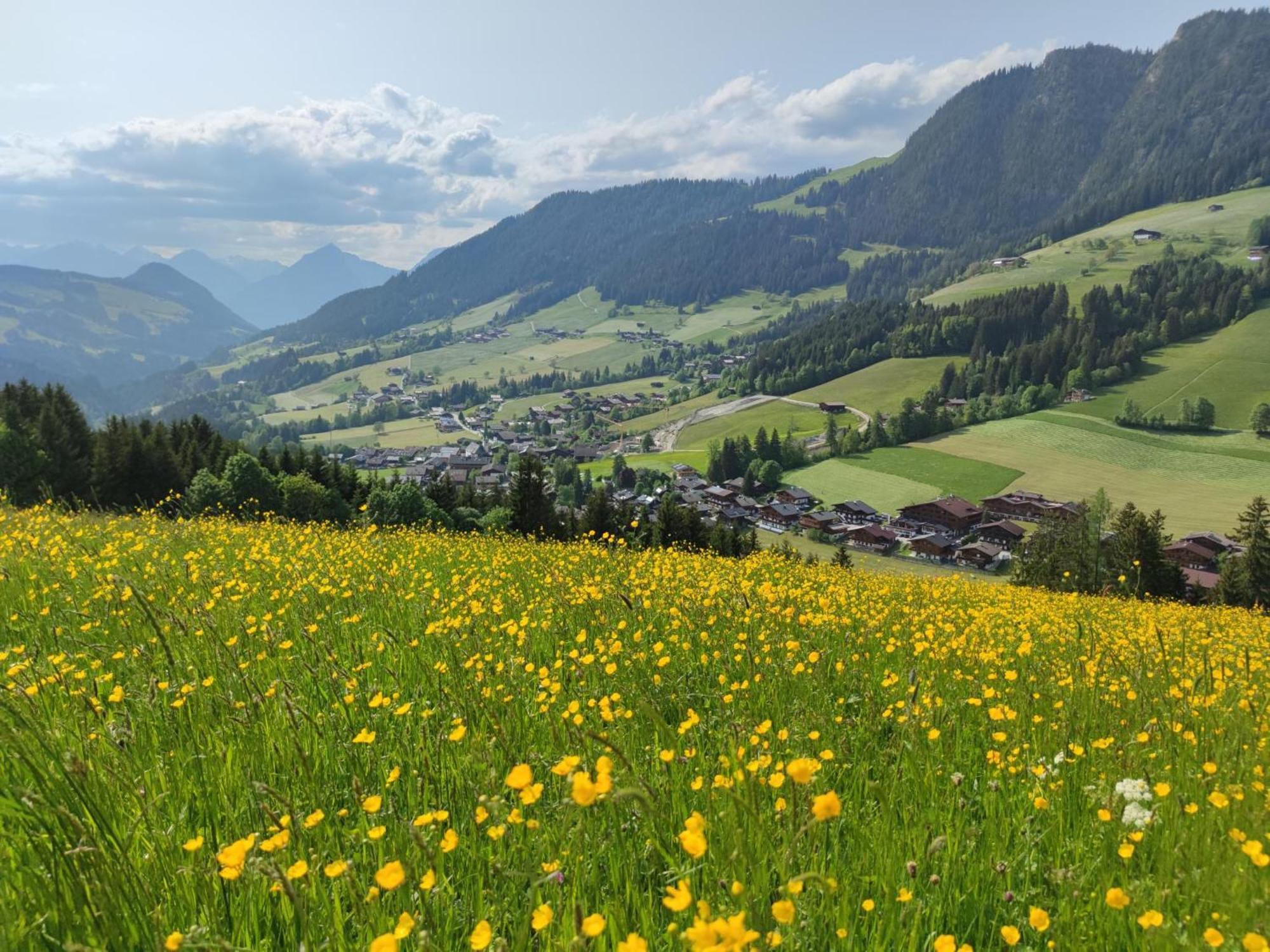 Chalet Mountain View Alpbach Extérieur photo